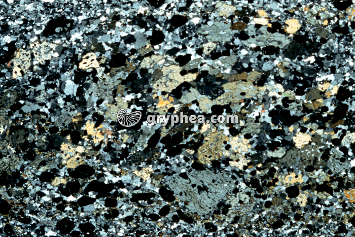 Granulite LPA x3,5 - gryphea.com